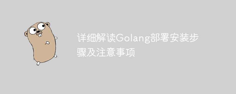 详细解读golang部署安装步骤及注意事项