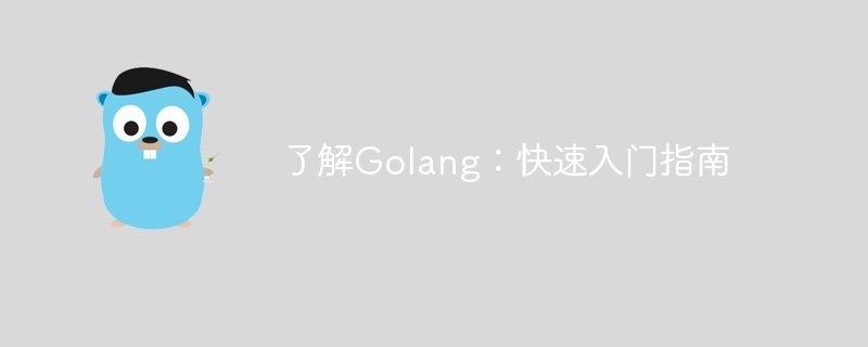 了解golang：快速入门指南