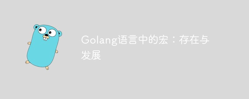 golang语言中的宏：存在与发展