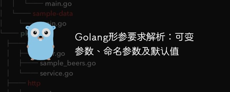 golang形参要求解析：可变参数、命名参数及默认值