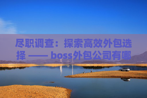 尽职调查：探索高效外包选择 —— boss外包公司有哪些