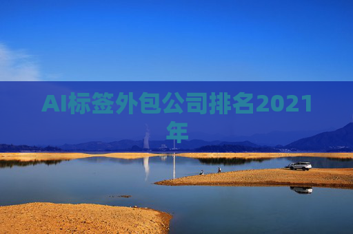 AI标签外包公司排名2021年