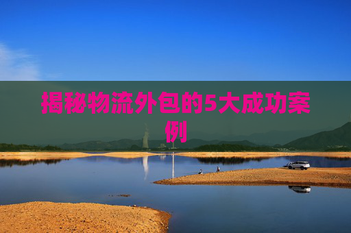 揭秘物流外包的5大成功案例