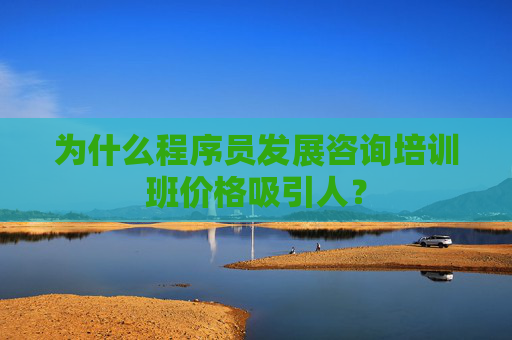 为什么程序员发展咨询培训班价格吸引人？