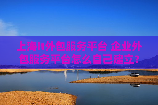 上海it外包服务平台 企业外包服务平台怎么自己建立？